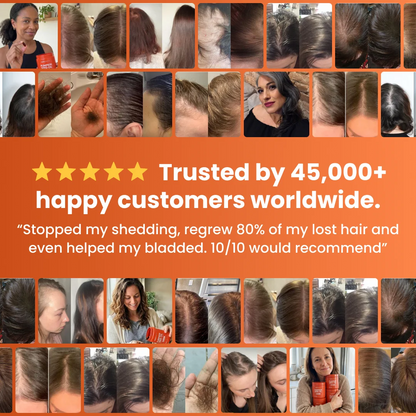 customer_reviews.webp
